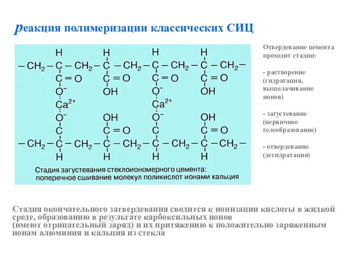 реакция полимеризации классических СИЦ Стадия окончательного затвердевания сводится к ионизации кислоты в жидкой