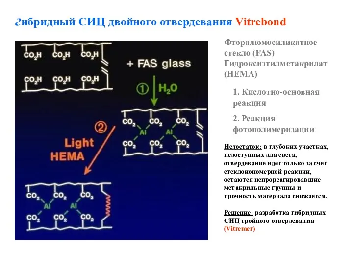 Фторалюмосиликатное стекло (FAS) Гидроксиэтилметакрилат (HEMA) 1. Кислотно-основная реакция 2. Реакция фотополимеризации гибридный СИЦ
