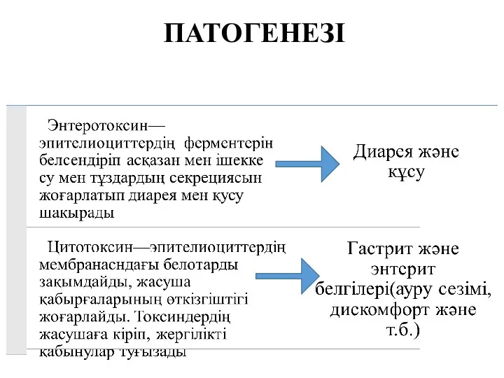 ПАТОГЕНЕЗІ