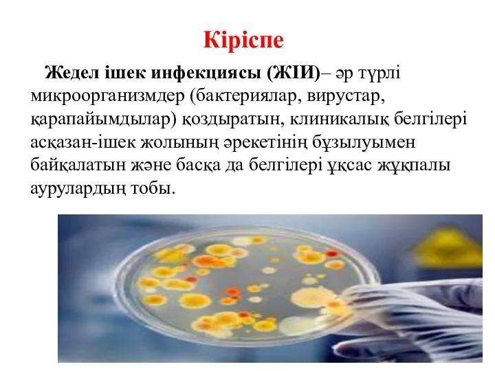 Кіріспе Жедел ішек инфекциясы (ЖІИ)– әр түрлі микроорганизмдер (бактериялар, вирустар,