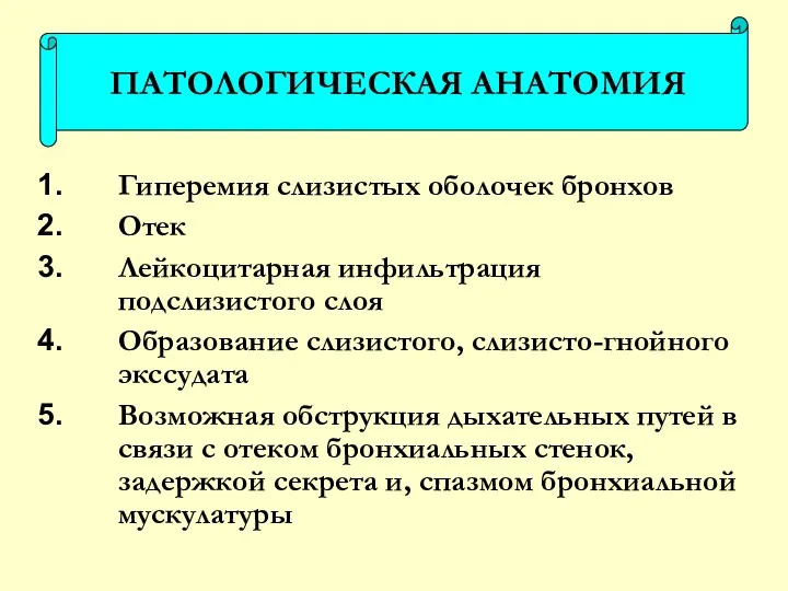 Гиперемия слизистых оболочек бронхов Отек Лейкоцитарная инфильтрация подслизистого слоя Образование