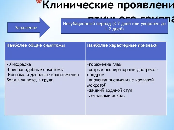 Клинические проявления птичьего гриппа: Заражение Инкубационный период (3-7 дней или укорочен до 1-2 дней)