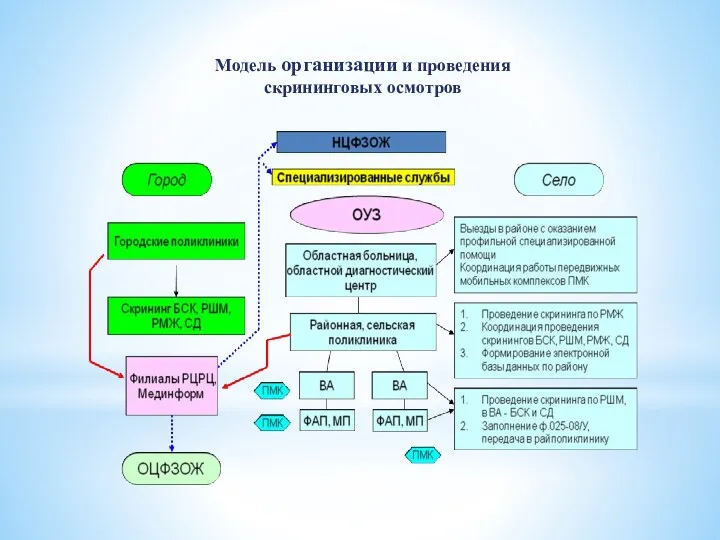 Модель организации и проведения скрининговых осмотров