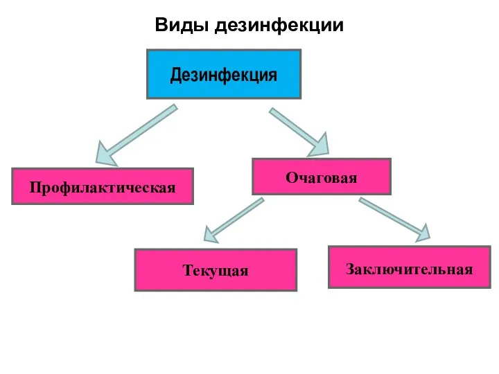 Дезинфекция Очаговая Профилактическая Текущая Заключительная Виды дезинфекции