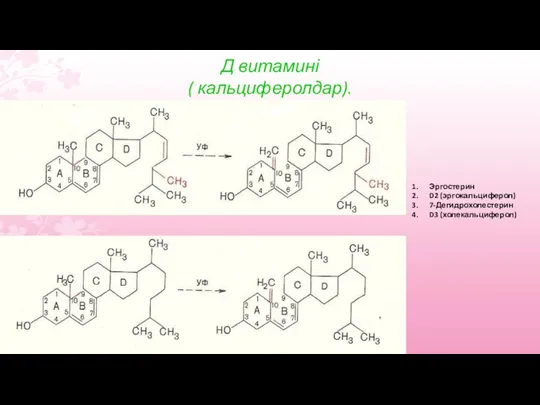 Д витамині ( кальциферолдар). Эргостерин D2 (эргокальциферол) 7-Дегидрохолестерин D3 (холекальциферол)