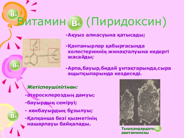 Витамин (Пиридоксин) Ақуыз алмасуына қатысады; Қантамырлар қабырғасында холестериннің жинақталуына кедергі