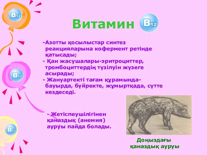 Витамин Азотты қосылыстар синтез реакцияларына кофермент ретінде қатысады; Қан жасушалары-эритроциттер,