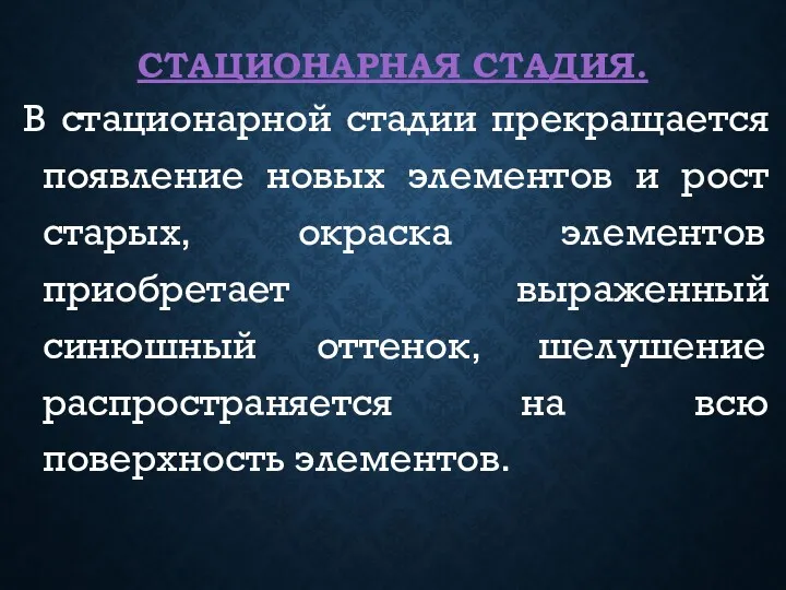 СТАЦИОНАРНАЯ СТАДИЯ. В стационарной стадии прекращается появление новых элементов и