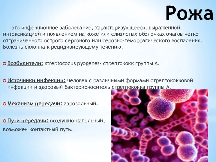 Рожа -это инфекционное заболевание, характеризующееся, выраженной интоксикацией и появлением на