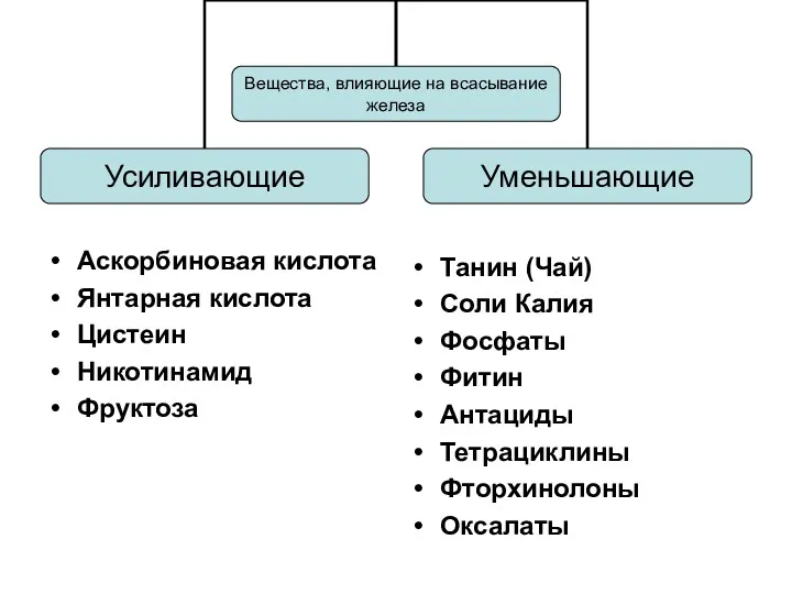 Аскорбиновая кислота Янтарная кислота Цистеин Никотинамид Фруктоза Танин (Чай) Соли