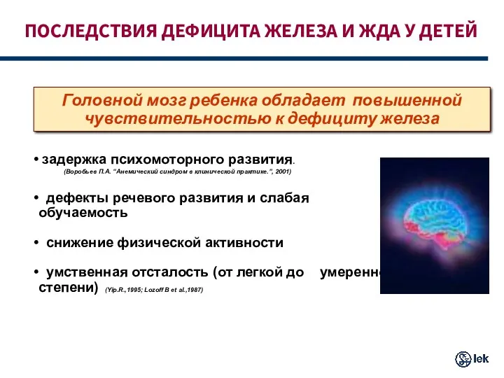 ПОСЛЕДСТВИЯ ДЕФИЦИТА ЖЕЛЕЗА И ЖДА У ДЕТЕЙ Головной мозг ребенка