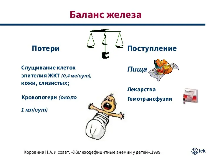 Баланс железа Потери Слущивание клеток эпителия ЖКТ (0,4 мг/сут), кожи,