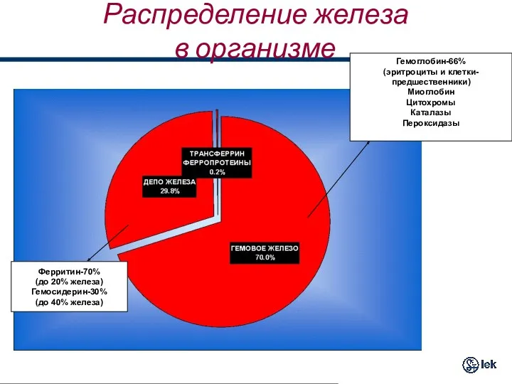 Распределение железа в организме Ферритин-70% (до 20% железа) Гемосидерин-30% (до