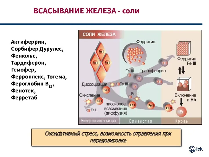 ВСАСЫВАНИЕ ЖЕЛЕЗА - соли Актиферрин, Сорбифер Дурулес, Фенюльс, Тардиферон, Гемофер,