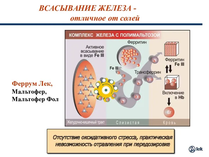 ВСАСЫВАНИЕ ЖЕЛЕЗА - отличное от солей Феррум Лек, Мальтофер, Мальтофер