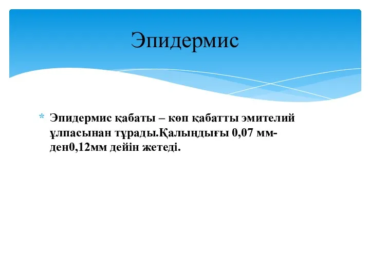 Эпидермис қабаты – көп қабатты эмителий ұлпасынан тұрады.Қалыңдығы 0,07 мм-ден0,12мм дейін жетеді. Эпидермис