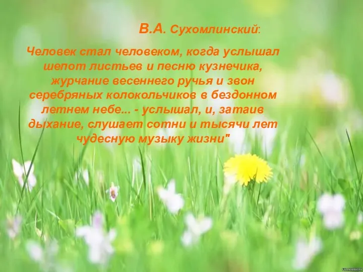 В.А. Сухомлинский: Человек стал человеком, когда услышал шепот листьев и
