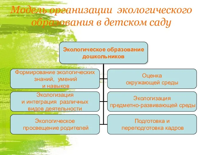 Модель организации экологического образования в детском саду