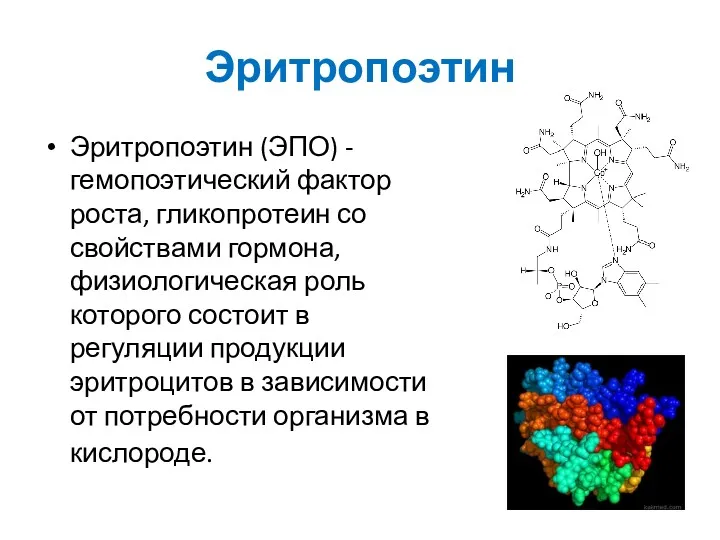 Эритропоэтин Эритропоэтин (ЭПО) -гемопоэтический фактор роста, гликопротеин со свойствами гормона,