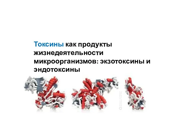 Токсины как продукты жизнедеятельности микроорганизмов: экзотоксины и эндотоксины