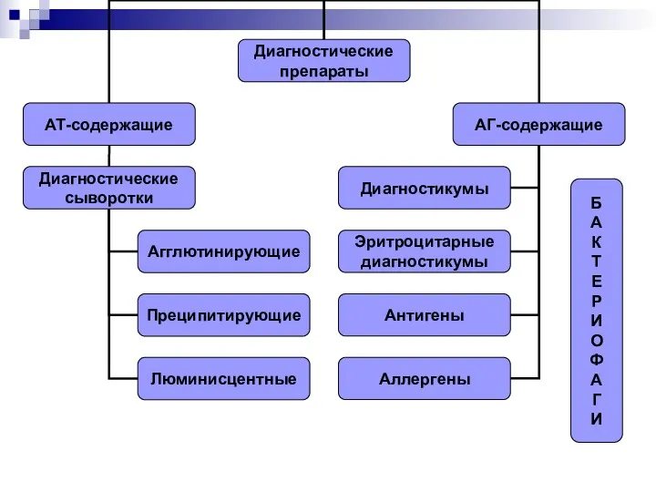 Б А К Т Е Р И О Ф А Г И