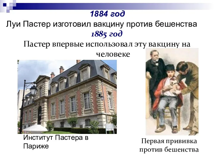 1884 год Луи Пастер изготовил вакцину против бешенства 1885 год