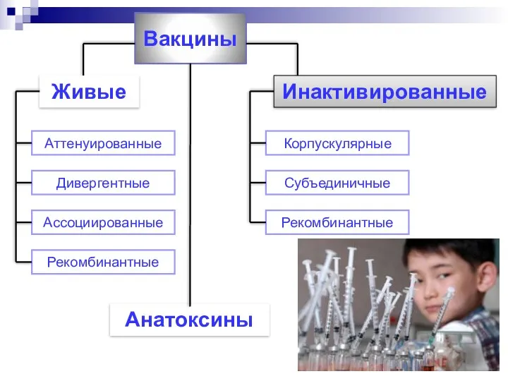 Вакцины Живые Инактивированные Аттенуированные Дивергентные Ассоциированные Рекомбинантные Корпускулярные Субъединичные Рекомбинантные Анатоксины