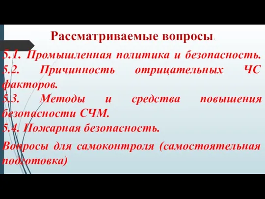 Рассматриваемые вопросы: 5.1. Промышленная политика и безопасность. 5.2. Причинность отрицательных