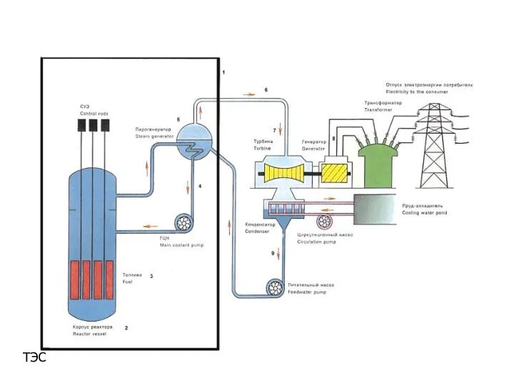 АЭС ТЭС