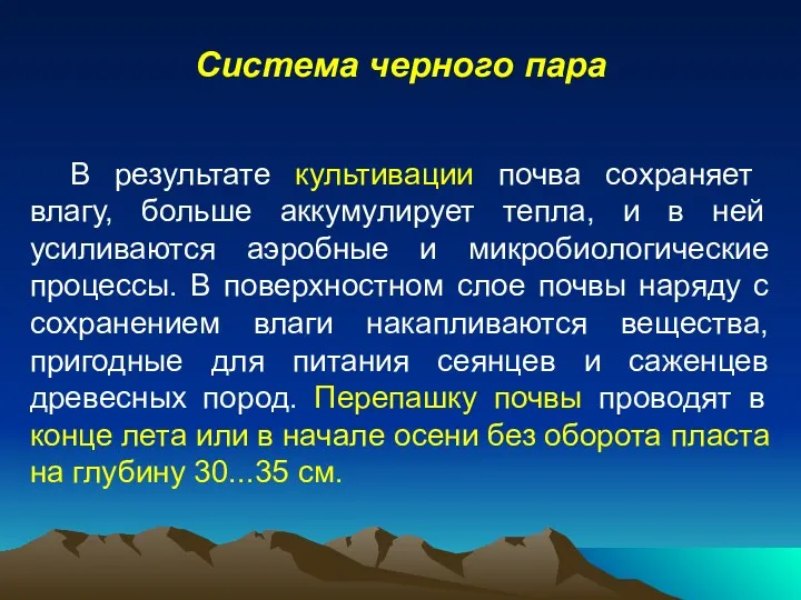 Система черного пара В результате культивации почва сохраняет влагу, больше