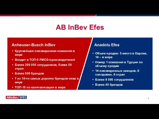 AB InBev Efes