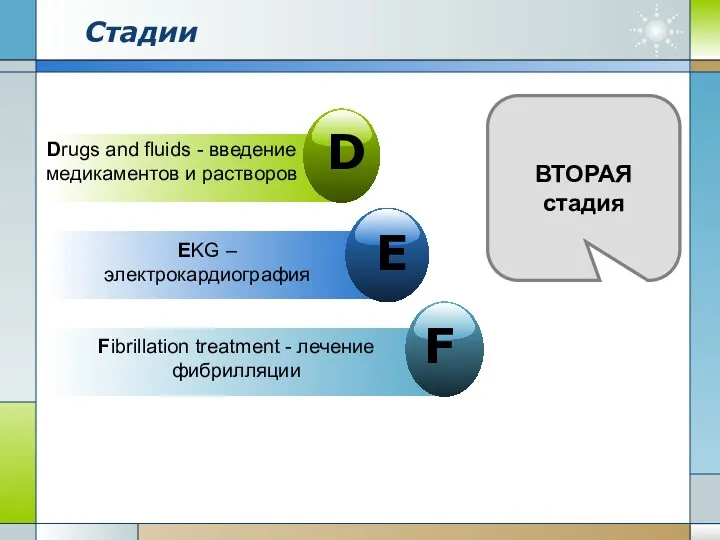 Стадии