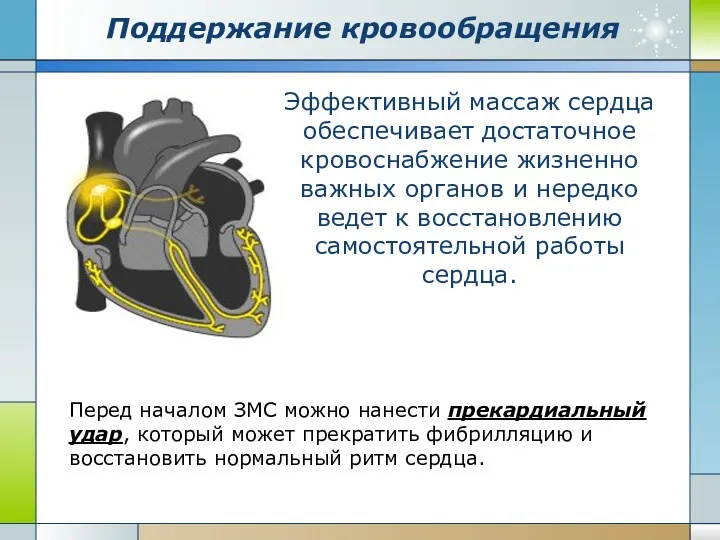 Поддержание кровообращения Эффективный массаж сердца обеспечивает достаточное кровоснабжение жизненно важных