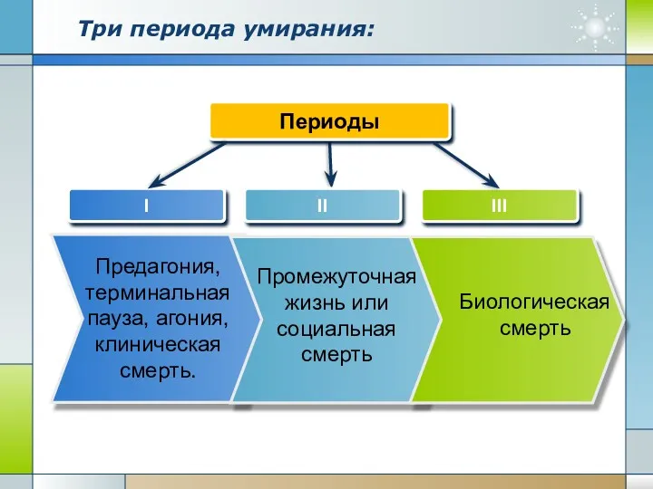 I II III Три периода умирания: Периоды