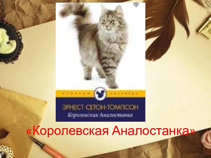 «Королевская Аналостанка»