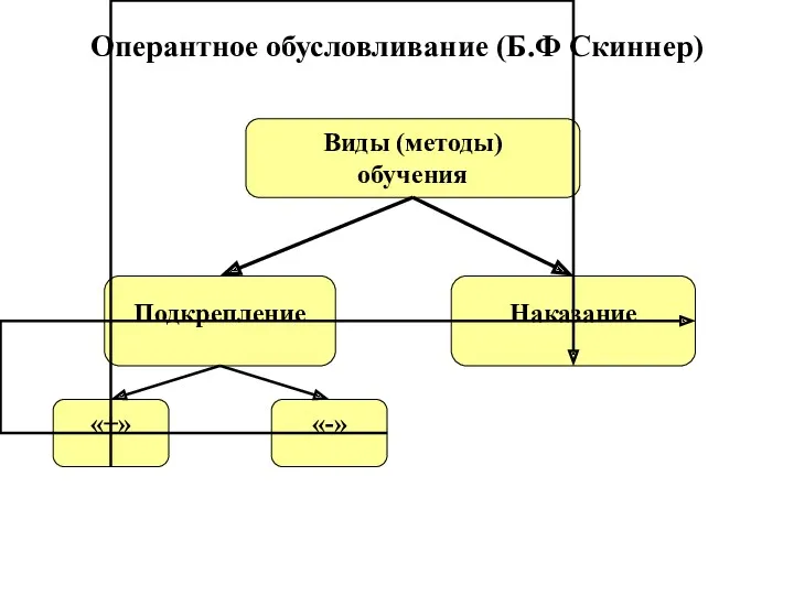 Оперантное обусловливание (Б.Ф Скиннер)