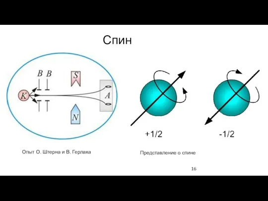 Спин Опыт О. Штерна и В. Герлаха Представление о спине