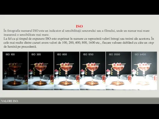 ISO În fotografie numarul ISO este un indicator al sensibilitaţii