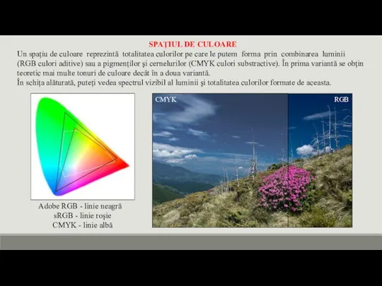 SPAŢIUL DE CULOARE Un spațiu de culoare reprezintă totalitatea culorilor