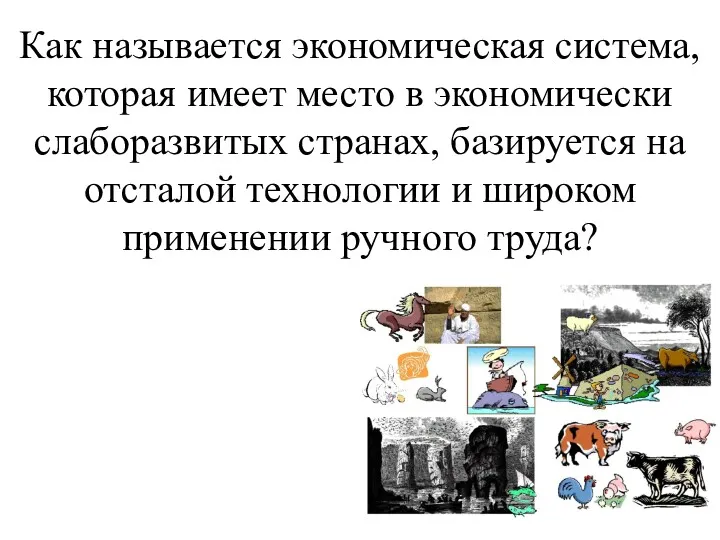 Как называется экономическая система, которая имеет место в экономически слаборазвитых