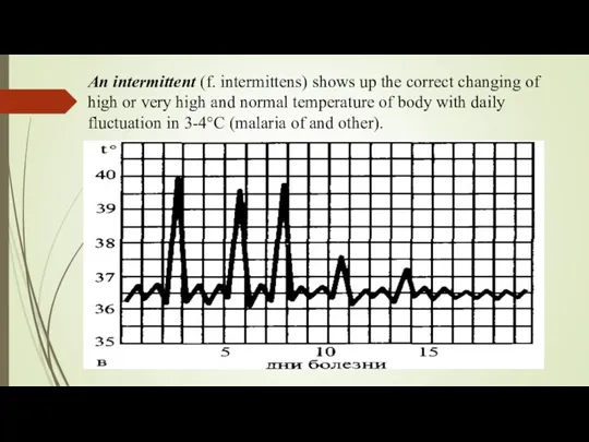 An intermittent (f. intermittens) shows up the correct changing of