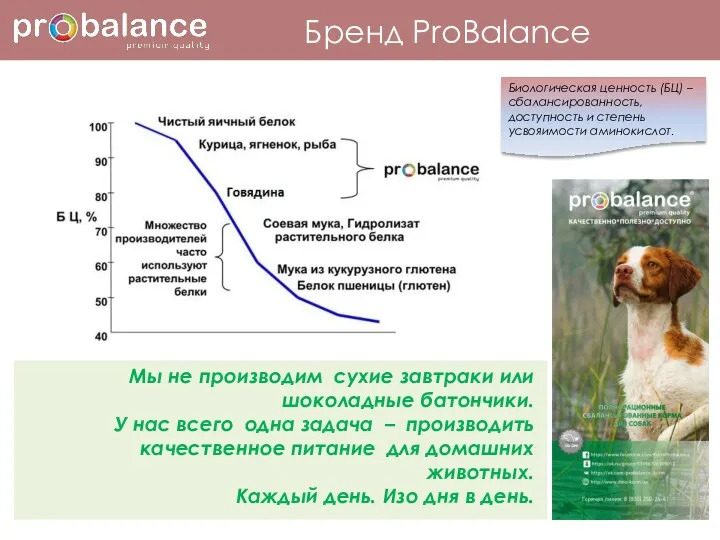 Биологическая ценность (БЦ) – сбалансированность, доступность и степень усвояимости аминокислот.