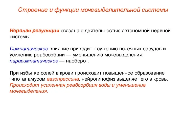 Нервная регуляция связана с деятельностью автономной нервной системы. Симпатическое влияние