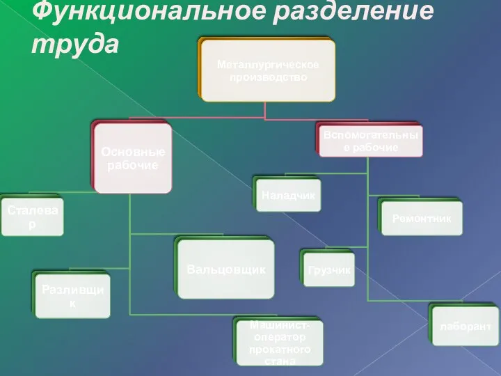 Функциональное разделение труда