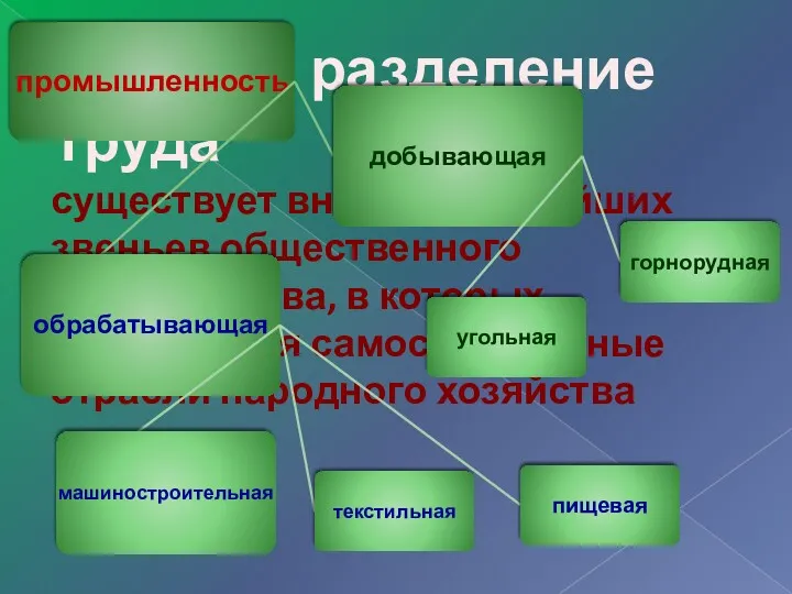 Частное разделение труда существует внутри крупнейших звеньев общественного производства, в которых выделяются самостоятельные отрасли народного хозяйства