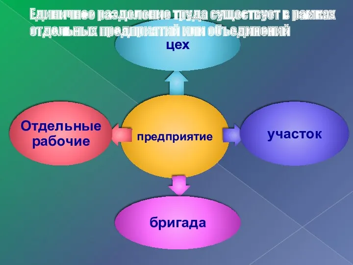 Единичное разделение труда существует в рамках отдельных предприятий или объединений