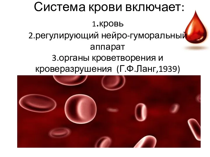 Система крови включает: 1.кровь 2.регулирующий нейро-гуморальный аппарат 3.органы кроветворения и кроверазрушения (Г.Ф.Ланг,1939)