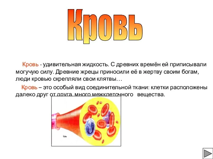 Кровь - удивительная жидкость. С древних времён ей приписывали могучую