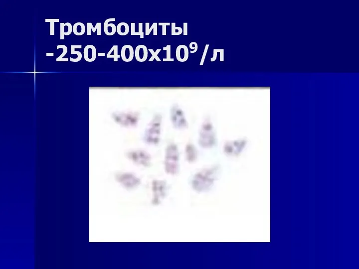 Тромбоциты -250-400х109/л