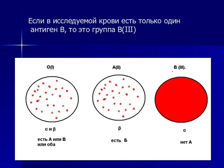 Если в исследуемой крови есть только один антиген В, то это группа В(III)